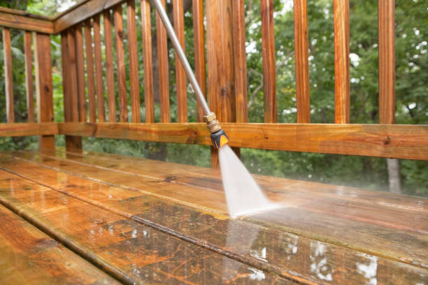 Best Animal Enclosure Cleaning  in West Bishop, CA